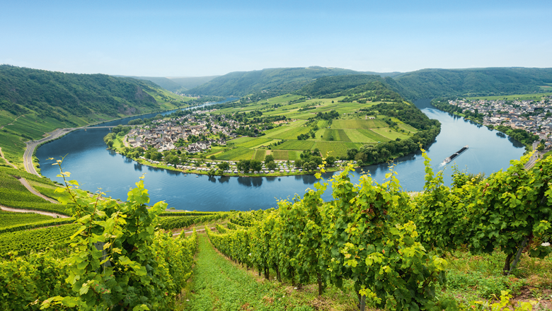 7 Tage Mosel & Rhein