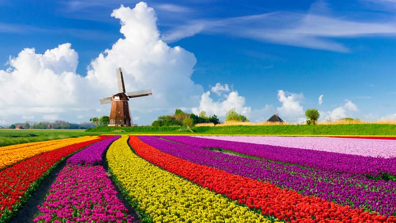 7 Tage Holland & Flandern